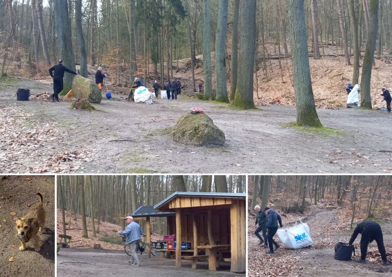 Foto: Stiller - Klick vergr��ert